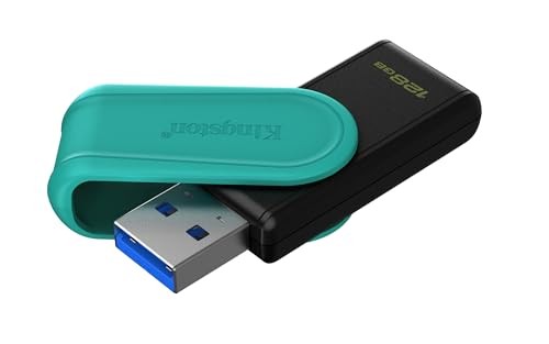 Memoria USB 128GB Kingston DTXS/128GB