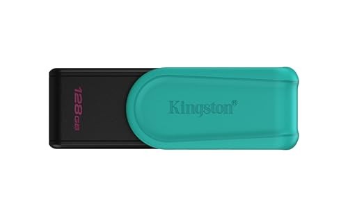 Memoria USB 128GB Kingston DTXS/128GB